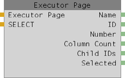Abbildung 1: Executor page Node