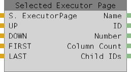 Abbildung 1: Selected Executor Page Node